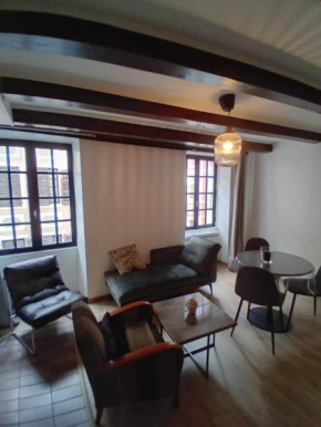 Le Carnot 2 étoiles Hypercentre Vieille Ville Annecy Annecy